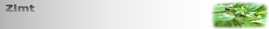 Zimt